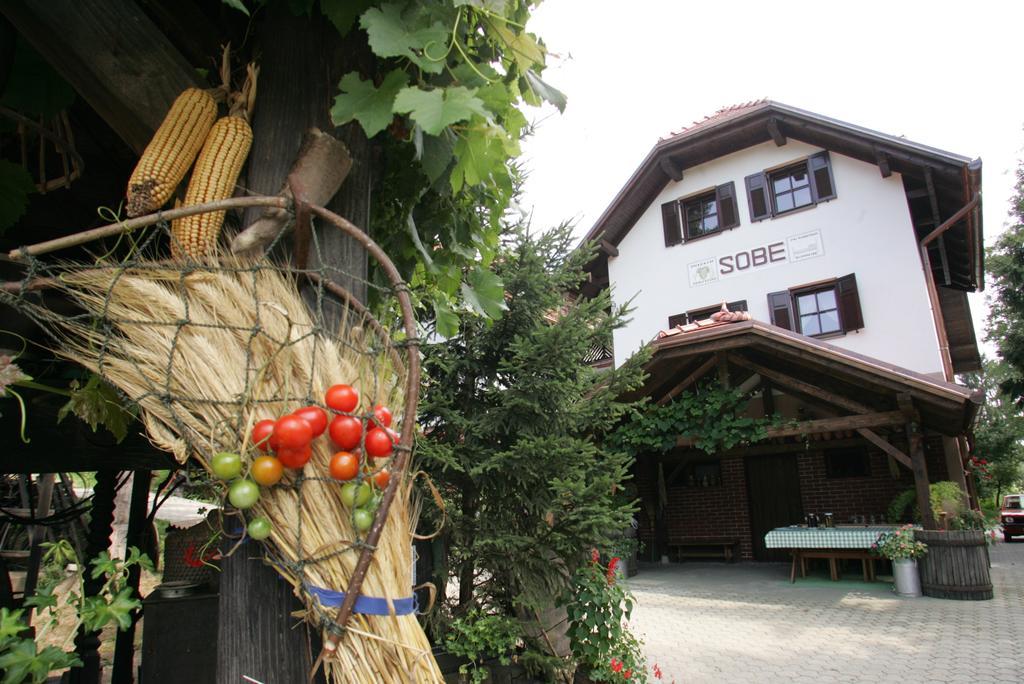 Farm Stay Frank Ozmec Wine And Glamping Estate Ljutomer Kültér fotó